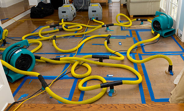Professional Structural Drying And Dehumidification technician working in Carnegie, OK